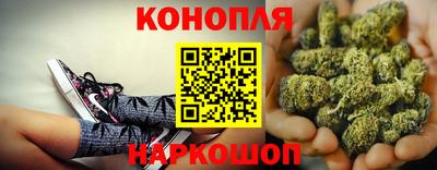 PSILOCYBIN Нальчик