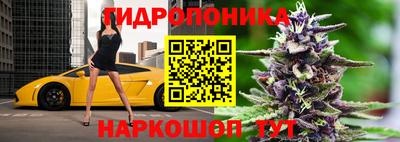 PSILOCYBIN Нальчик
