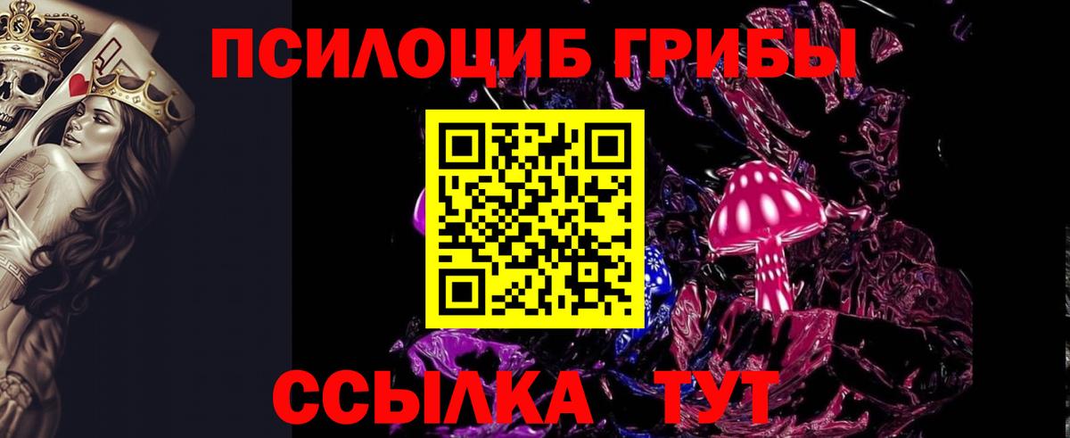 купить наркотик  Псилоцибиновые грибы мухоморы  Вход с VPN  Энгельс 